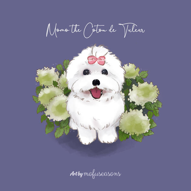 Shiba Hydrangeas Sticky Notepad
